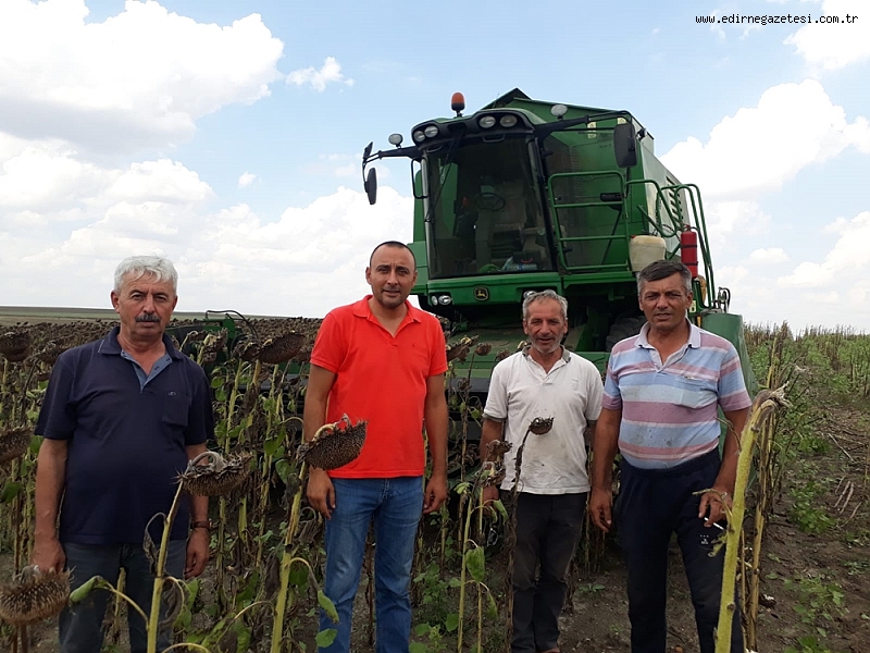 Rüyada Ayçiçeği tüccarı görmek ne anlama gelir?