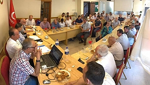 “Hükümet Ortadoğu’ya müdahil olmalı”