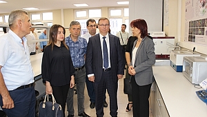 Bu laboratuvar tohumun saflığını inceleyecek