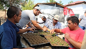 Çiçekler şaşırtıldı