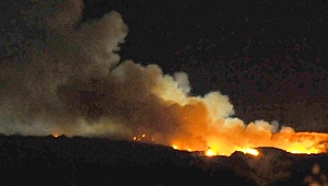 Çözüm bulunamıyor