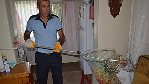 ORMAN YANGINI