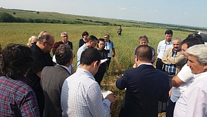 Saçlımüsellimde kararı uygulansın