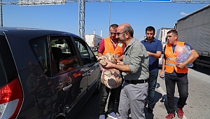 Sınırda bekleyenlere kumana desteği