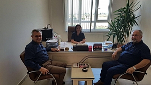 Tecrübeli mezuniyet