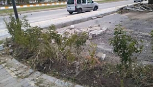 Tepkiler yıkımı durdurdu