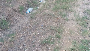 Vatandaş çöplere tepkili