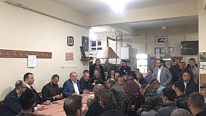 AK PARTİDEN KARAAĞAÇ ÇIKARTMASI