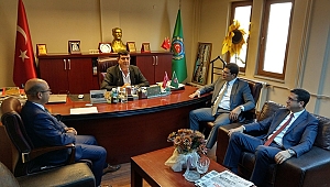 DUYARSIZ KALMADILAR