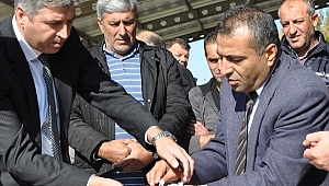 YÜZLER GÜLDÜ