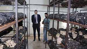 GENÇ ÇİFTÇİLERİN BAŞARISI YÜZ GÜLDÜRÜYOR