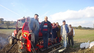 YENİ ÇEŞİT BUĞDAY DEMONSTRASYONU OLUŞTURULDU