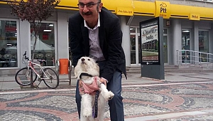 “BAKAMAYACAĞINIZ CANLIYI ALMAYIN”