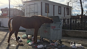 “BAŞI BOŞ ATLAR NE OLACAK?”