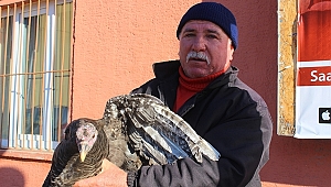 PAZARA H’İNDİ’LER