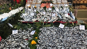 Balık Fiyatları Düşmüyor