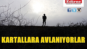 KAÇARKEN KARTALLARA AVLANIYORLAR