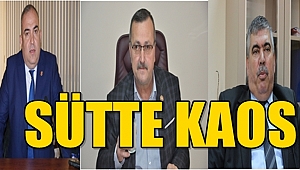 SÜTTE KAOS