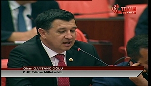 TRİTİKALE MECLİS GÜNDEMİNDE