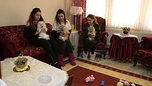 YAVRU KÖPEKLERE "YEDİEMİN" OLDU