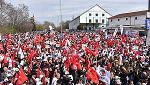 TRAKYA ALPULLU’YA AKTI
