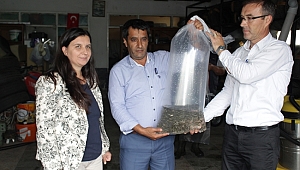 123 BİN SAZAN GÖLLERDE