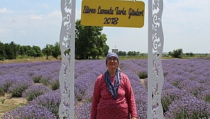LAVANTA KÖYLERİ