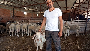 “AKILLI” KURBAN ALIMI