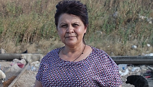 SOKAK HAYVANLARI ÖKSÜZ KALDI