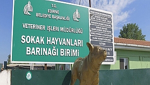 BÜYÜK PROVOKASYON