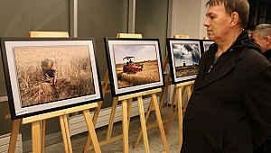 BUĞDAYIN SERÜVENİ