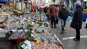 HAMSİ BOLLUĞU TEZGAHLARI ŞENLENDİRDİ