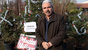 YILBAŞI İÇİN KİRALIK ÇAM