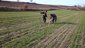 CESEDİ BULUNDU