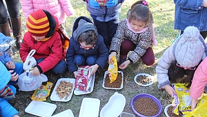 HARÇLIKLARIYLA MAMA ALDILAR