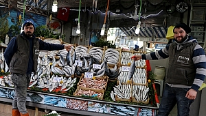 PALAMUDUN TANESİ 15 LİRA