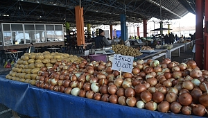 SOĞANA İTHAL ÇÖZÜM