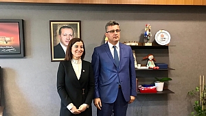 “KOLTUĞU SAĞLAMA ALMAK İÇİN ÇIRPINAN YÖNETİCİ”
