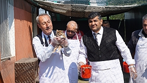 KEDİLER BAYRAM YAPTI