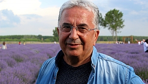 BUĞDAY YERİNE LAVANTA EKİN
