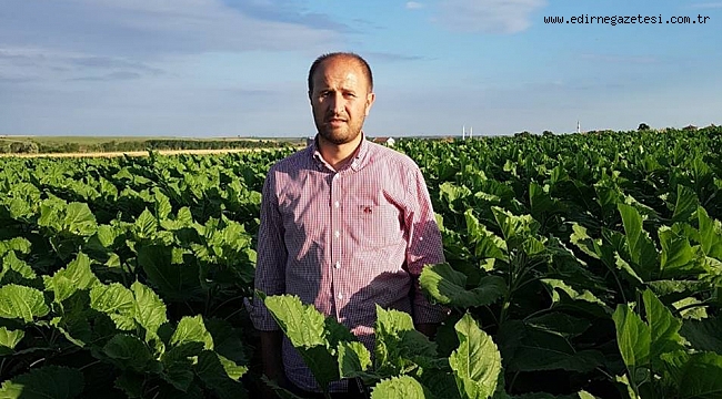 ÇAREYİ PAYLAŞIMINI KALDIRMAKTA BULDU