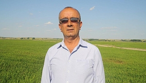 ÇELTİKÇİNİN UMUDU KUZEY RÜZGARLARINA KALDI
