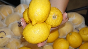 LİMON CEPLERİ EKŞİTTİ
