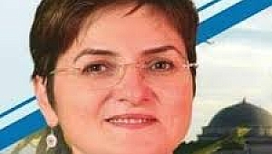ORMANLARI BİLE PARA İÇİN SATIYORLAR