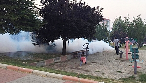 SABAH 5'TE, SİVRİSİNEKLE MÜCADELE