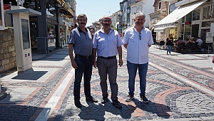 TANRIKULU, SİVRİSİNEK SORUNUNA AÇIKLIK GETİRDİ