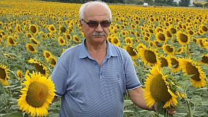 ÜRETİCİYE HASTALIK UYARISI