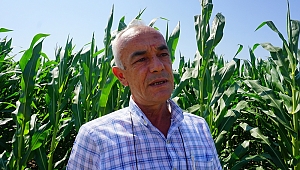 KÖYLÜNÜN SULU TARIM SEVİNCİ