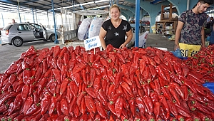 KUYULARDA Kİ SUSUZLUK TARHANALIK BİBERİ DE YAKTI