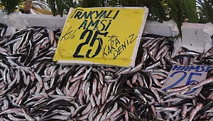 BU DA TRAKYA AMSİSİ